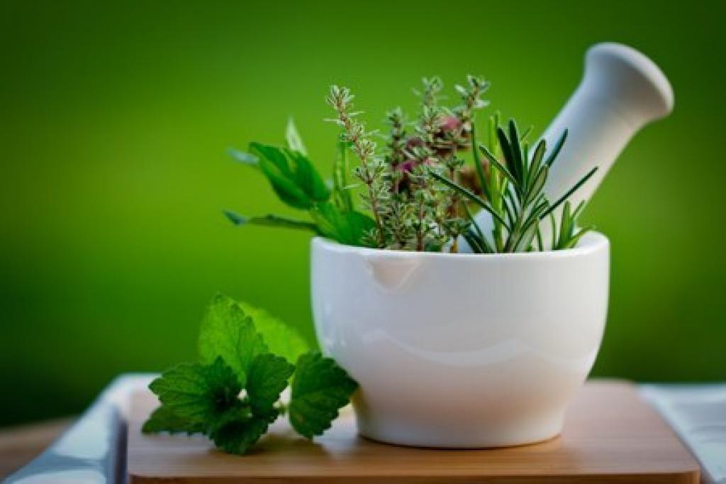 انواع گیاهان دارویی پرکاربرد