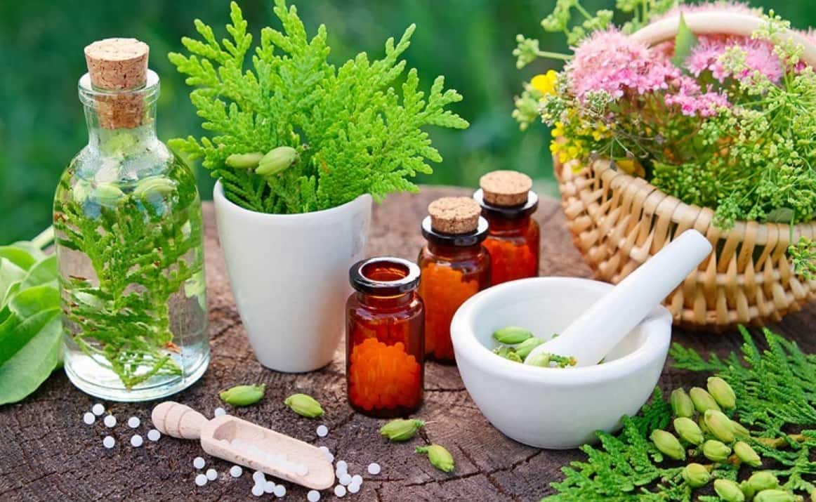 مهم‌ترین فواید گیاهان دارویی چیست؟